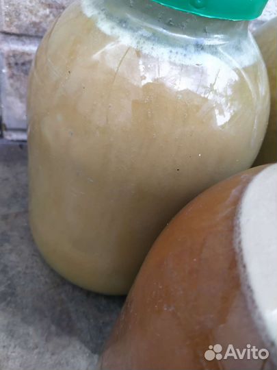 Мед Алтайский