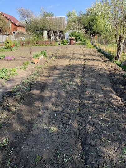 Дача 25 м² на участке 4,2 сот.