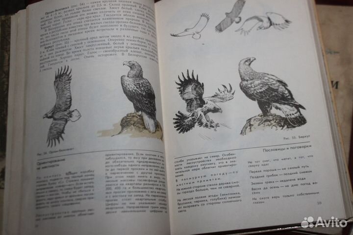 Книги Справочнык охотника и др