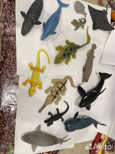 Рыбы и крокодилы