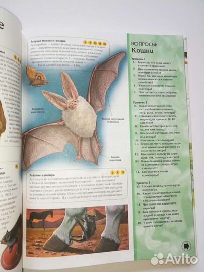 Интерактивная энциклопедия для школьников