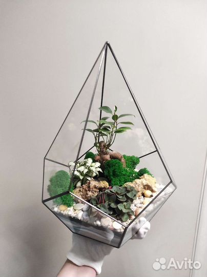 Флорариум в геометрической форме