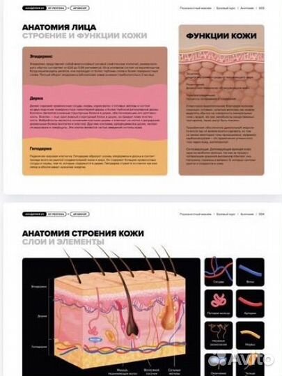 Обучение мастер Перманентного макияжа С 0 брови