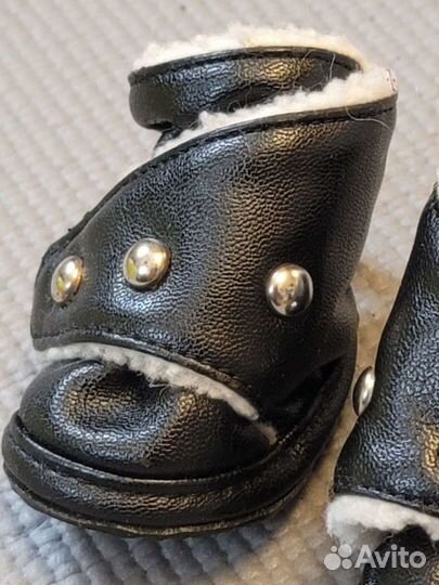 Обувь для маленьких собак