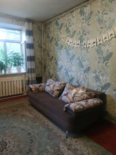 1-к. квартира, 32,3 м², 2/2 эт.