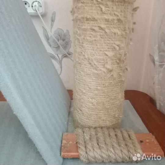 Когтеточка