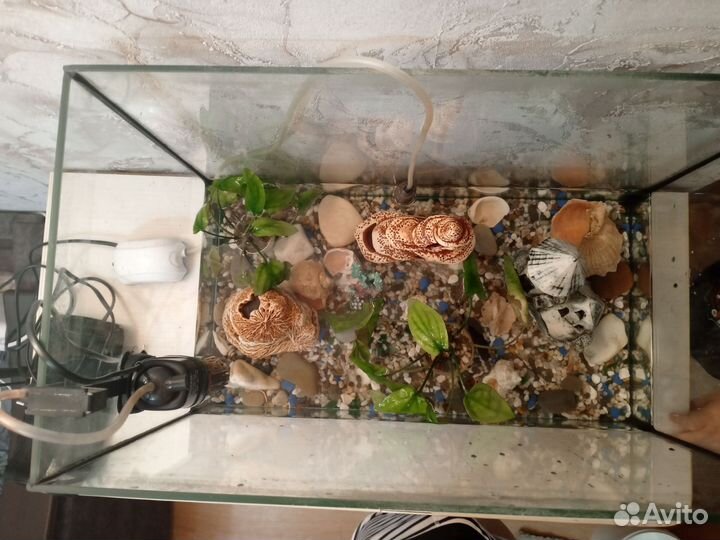 Аквариум