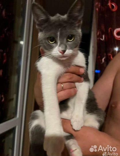 Я ищу себе доброе сердце