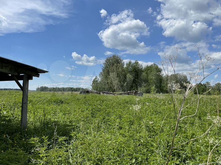 Дом 39 м² на участке 19 сот.