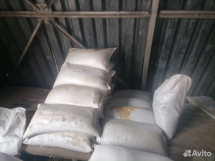 Овес в мешках