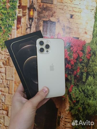 iPhone 12 Pro Max, 128 ГБ