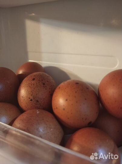 Козье молоко, яйца