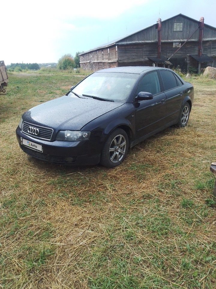 Audi A4: фото владельца
