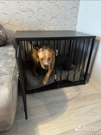 Клетка для собак от производителя