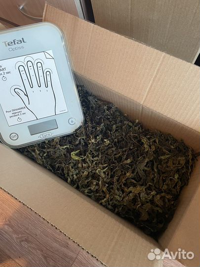 Иван чай ферментированный кипрей