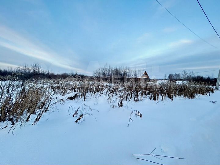 Участок 36 сот. (СНТ, ДНП)