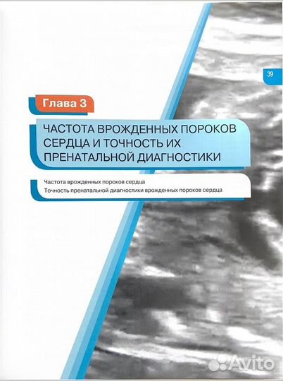 Хобби и отдых