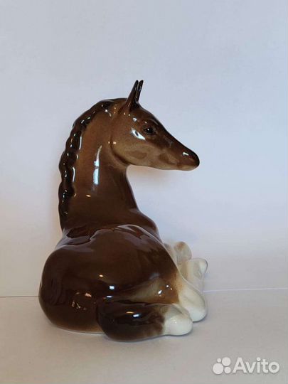 Жеребенок лежащий