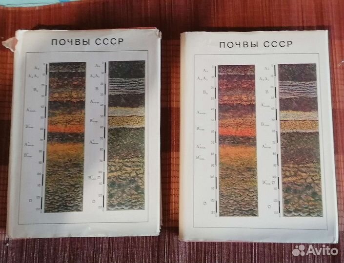 Почвы СССР, Водоросли и лишайники