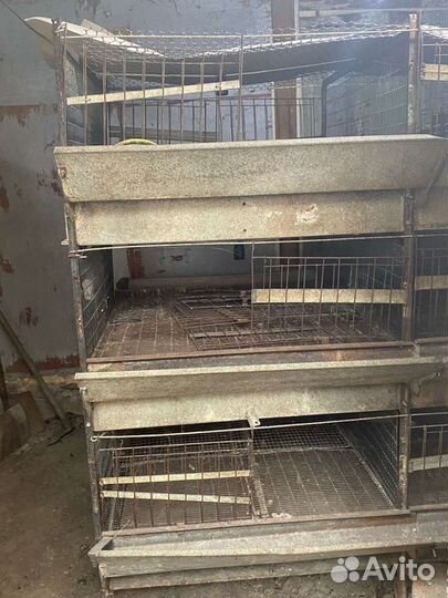 Заводские клетки для птиц