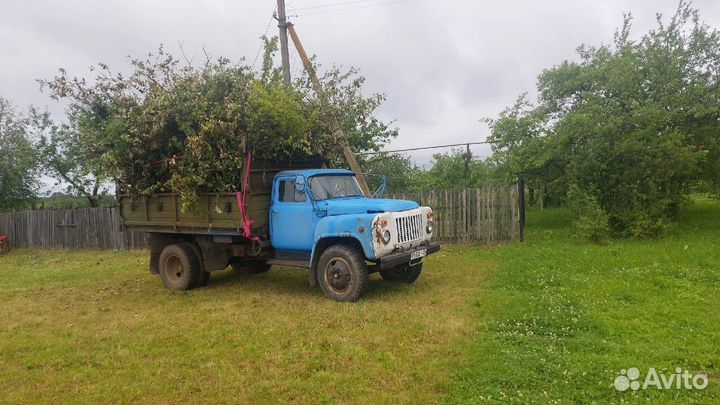 Береза на дрова,вывоз мусора,доставка сыпучих