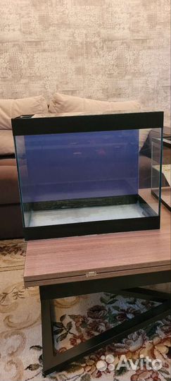 Аквариум б/у с фильтром