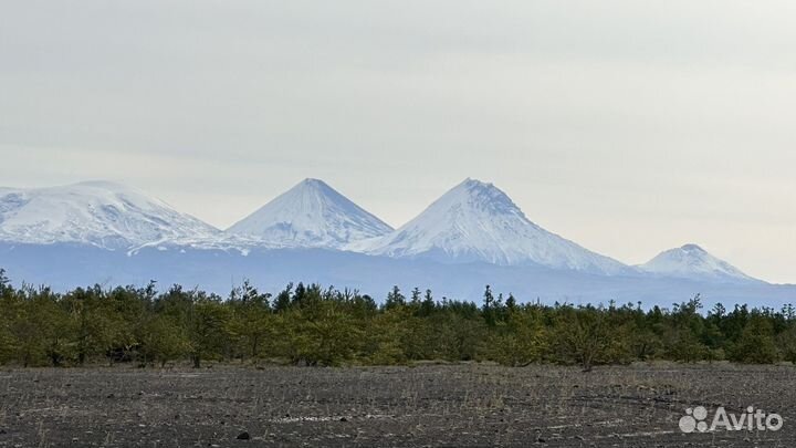Авторский 5 дневный тур на Север Камчатки + Эссо