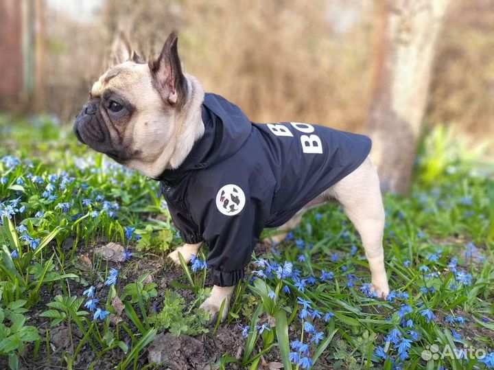 Куртка-дождевик для собак