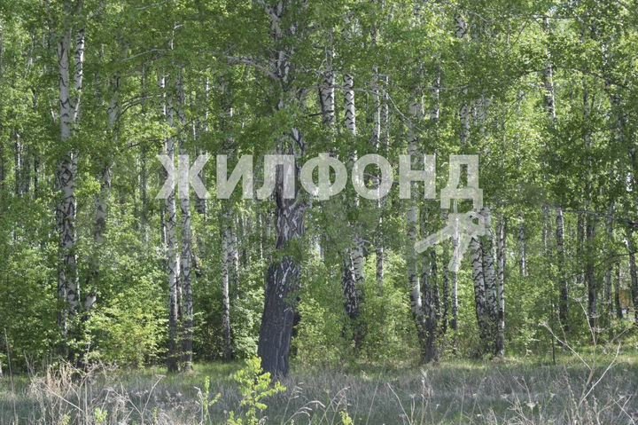 Участок 10 сот. (СНТ, ДНП)
