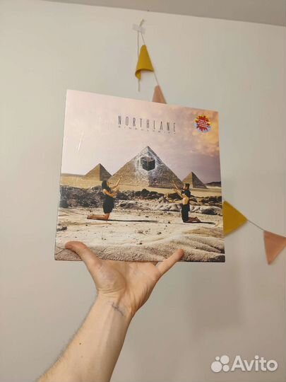 Northlane – Singularity винил цветной редкий
