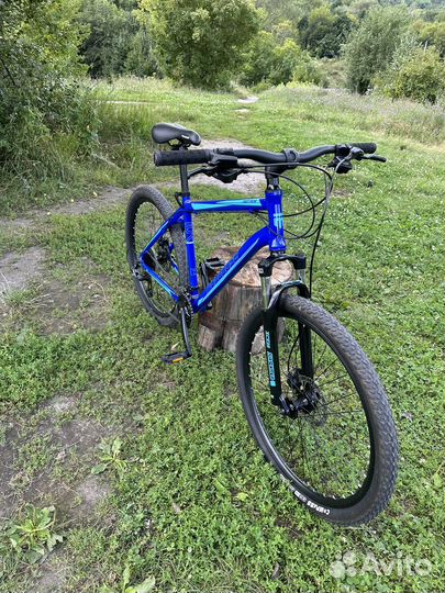 Mongoose montana comp