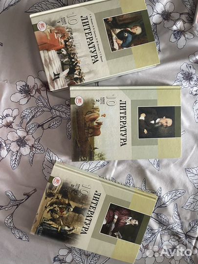 Литература 10 класс в 3 частях