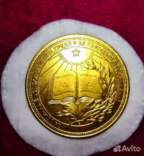 РСФСР медаль школьная