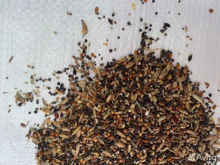 Корма для лесных птиц