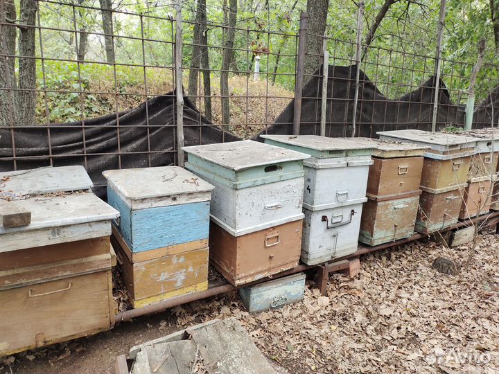 Продам ульи для пчел