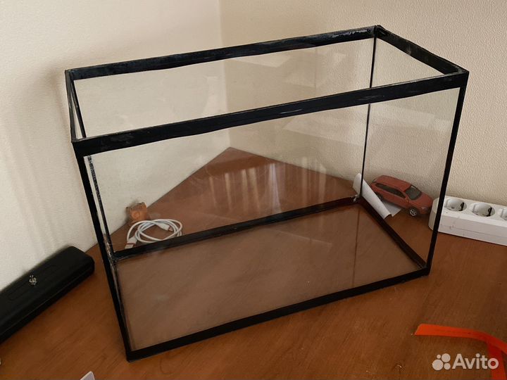 Красноухая черепаха