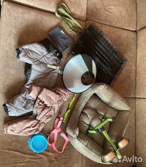 Вещи для собак и кошек