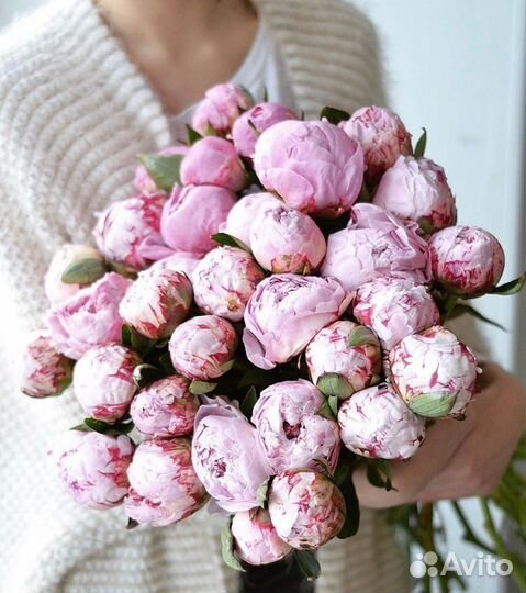 Пышные пионы с беспл. доставкой