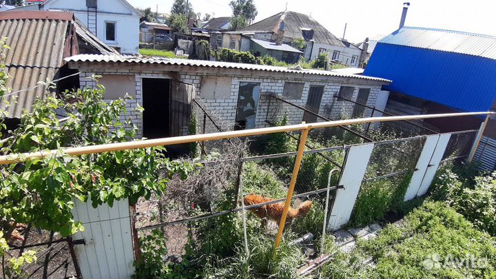 Гостиница для собак, передержка