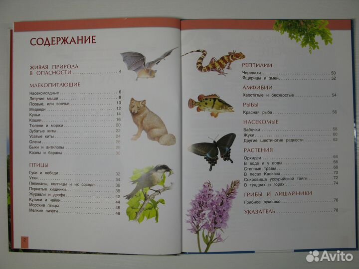 Книга о живой природе России