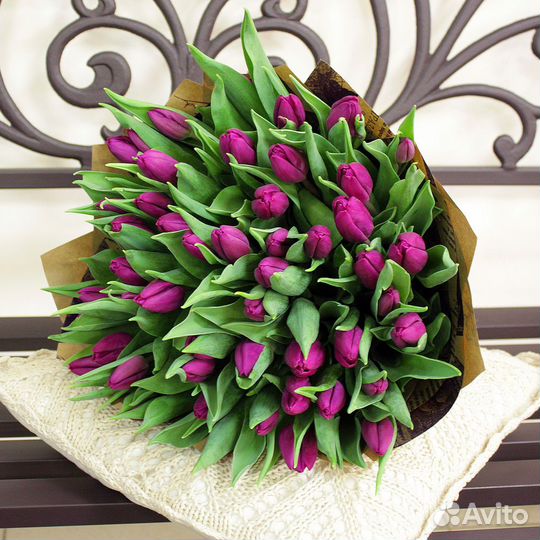 Букет из фиолетовых сортовых тюльпанов 37 шт