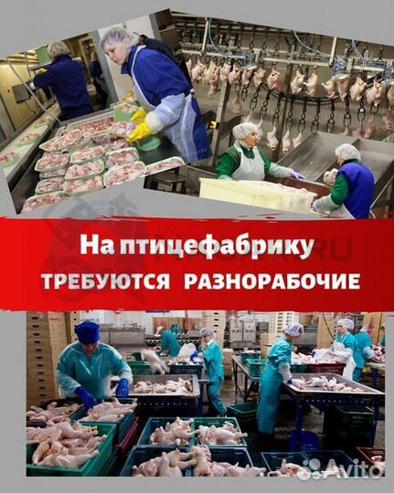 Подсобный рабочий на производство
