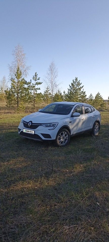 Renault Arkana: фото владельца
