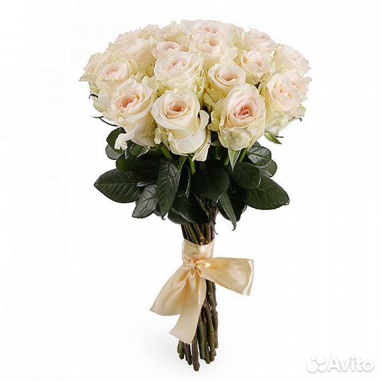 Розы эквадор 9 штук белые, красные