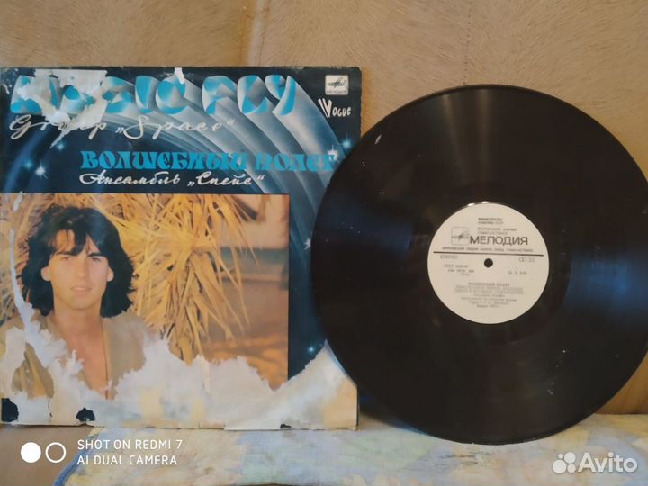 Виниловые пластинки