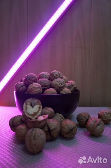 Грецкий орех чищенный от 100гр и в скорлупе от 1кг