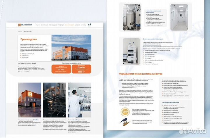 Веб дизайнер/дизайн сайтов/инфографика