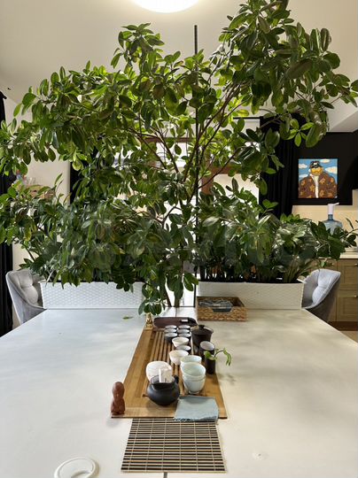 Дом 280 м² на участке 8 сот.