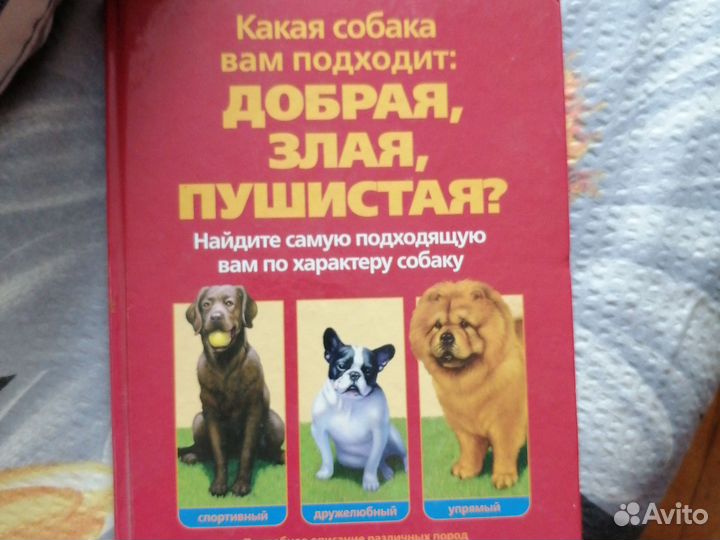 Какая собака вам подходит. Сэм Столл