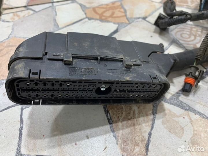 Проводка двс Ford Focus хэтчбэк 1.6 hwdb (100 Л.С)